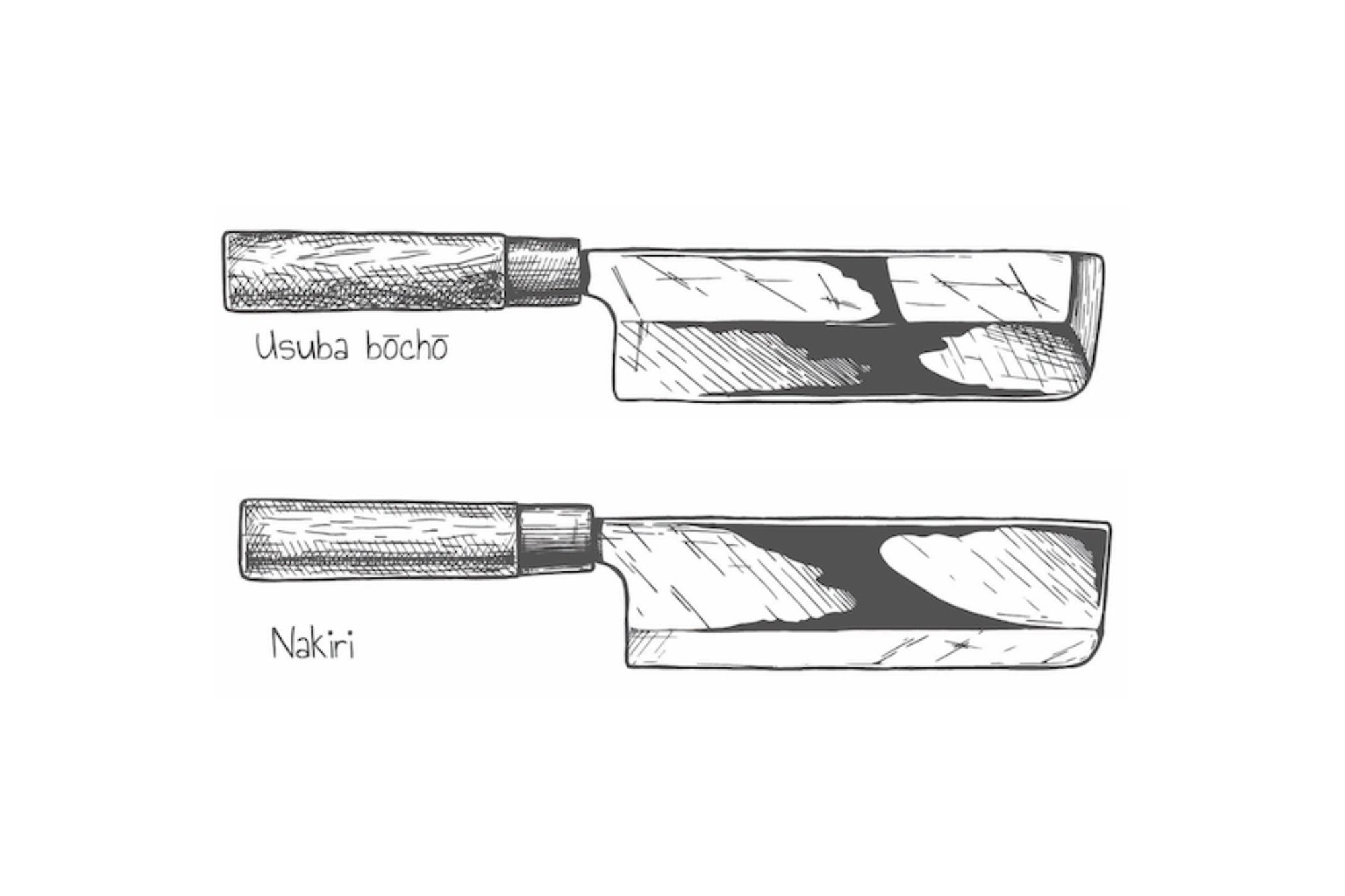 Usuba vs Nakiri What Are the Differences? santokuknives