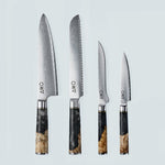 Aiko Black Damascus Steel Knife with Coloured Black Resin Handle